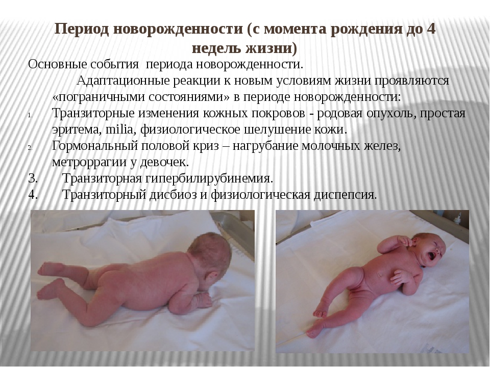 Развитие новорожденного ребенка по месяцам: как развивается младенец до года - в 1, 2, 5, 6 и 7 месяцы