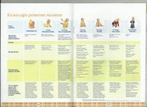 Этапы развития новорожденного малыша по неделям после родов: календарь от рождения до 1 года