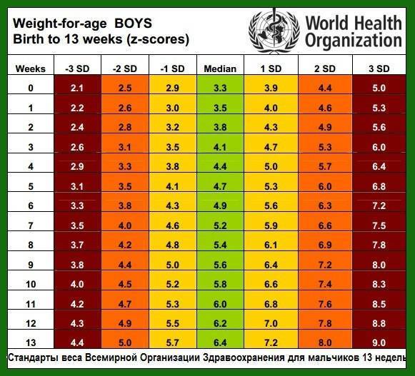 Как груднички должны набирать вес: таблица всемирной организации здравоохранения