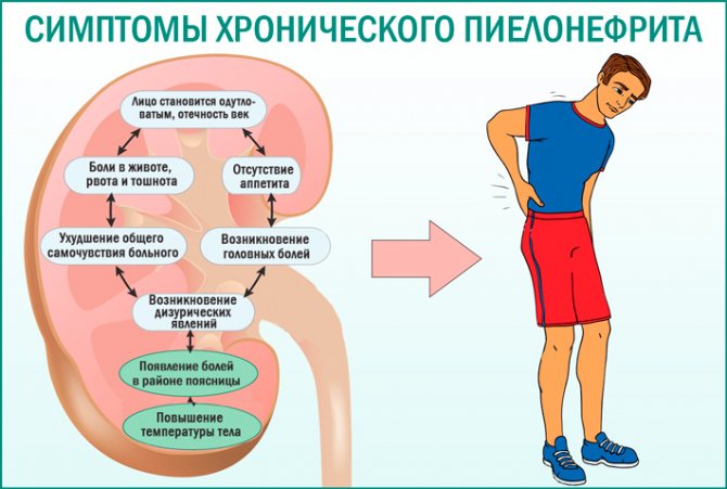 Диета при пиелонефрите у детей: строгое питание | полезно знать | healthage.ru