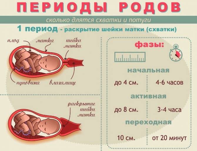 На какой неделе рожают первого, второго ребёнка: статистика