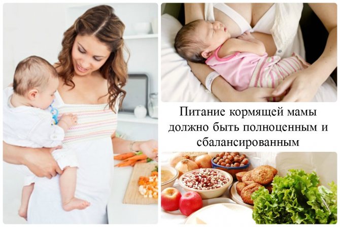 Питание кормящей мамы по месяцам: таблица, меню при гв, сроки ввода продуктов, мнение доктора комровского