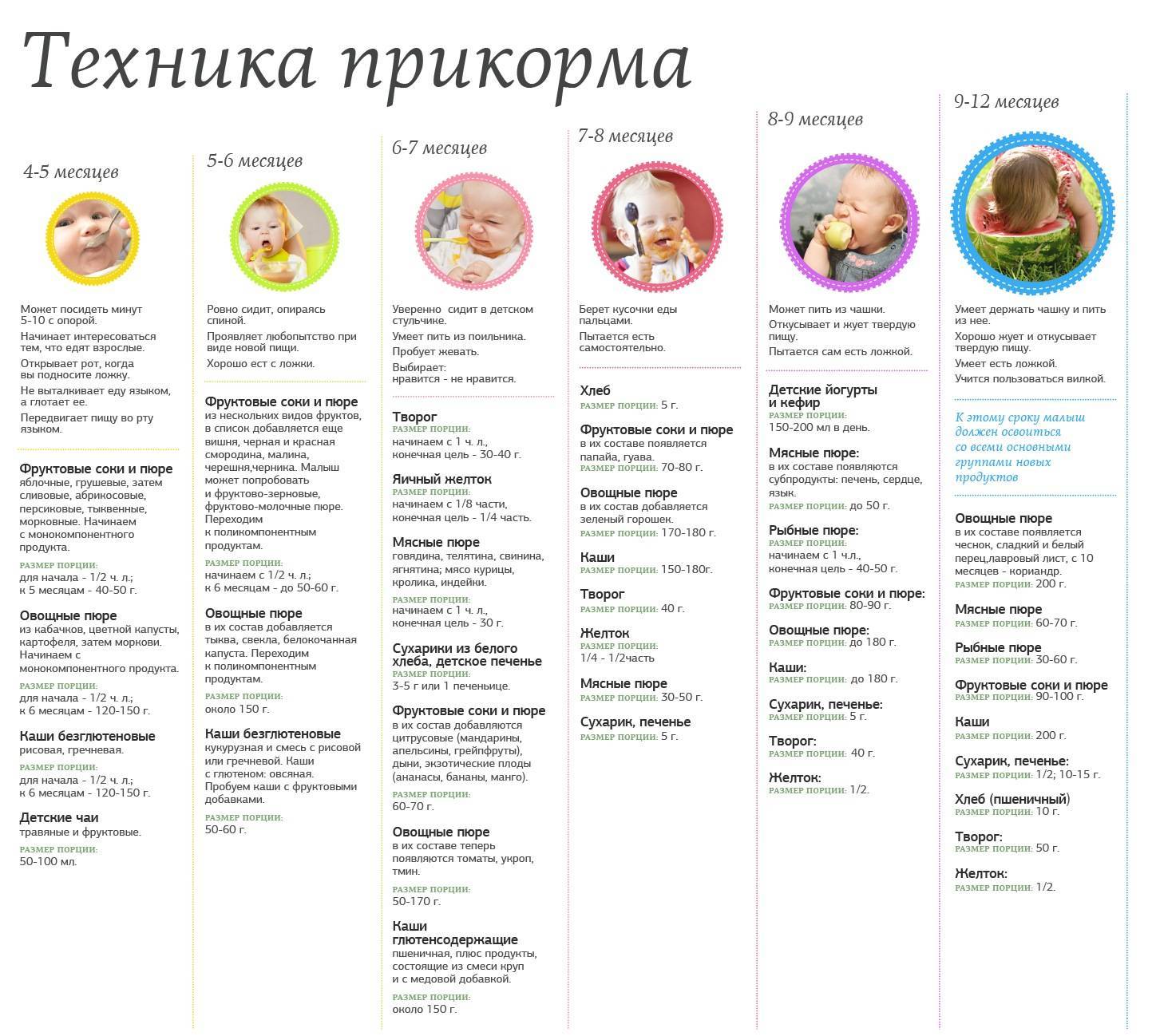 Прикорм по комаровскому по месяцам, таблица введений / mama66.ru