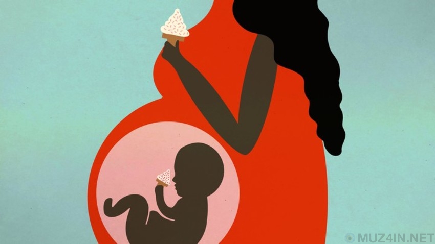 Мифы о беременности и зачатии