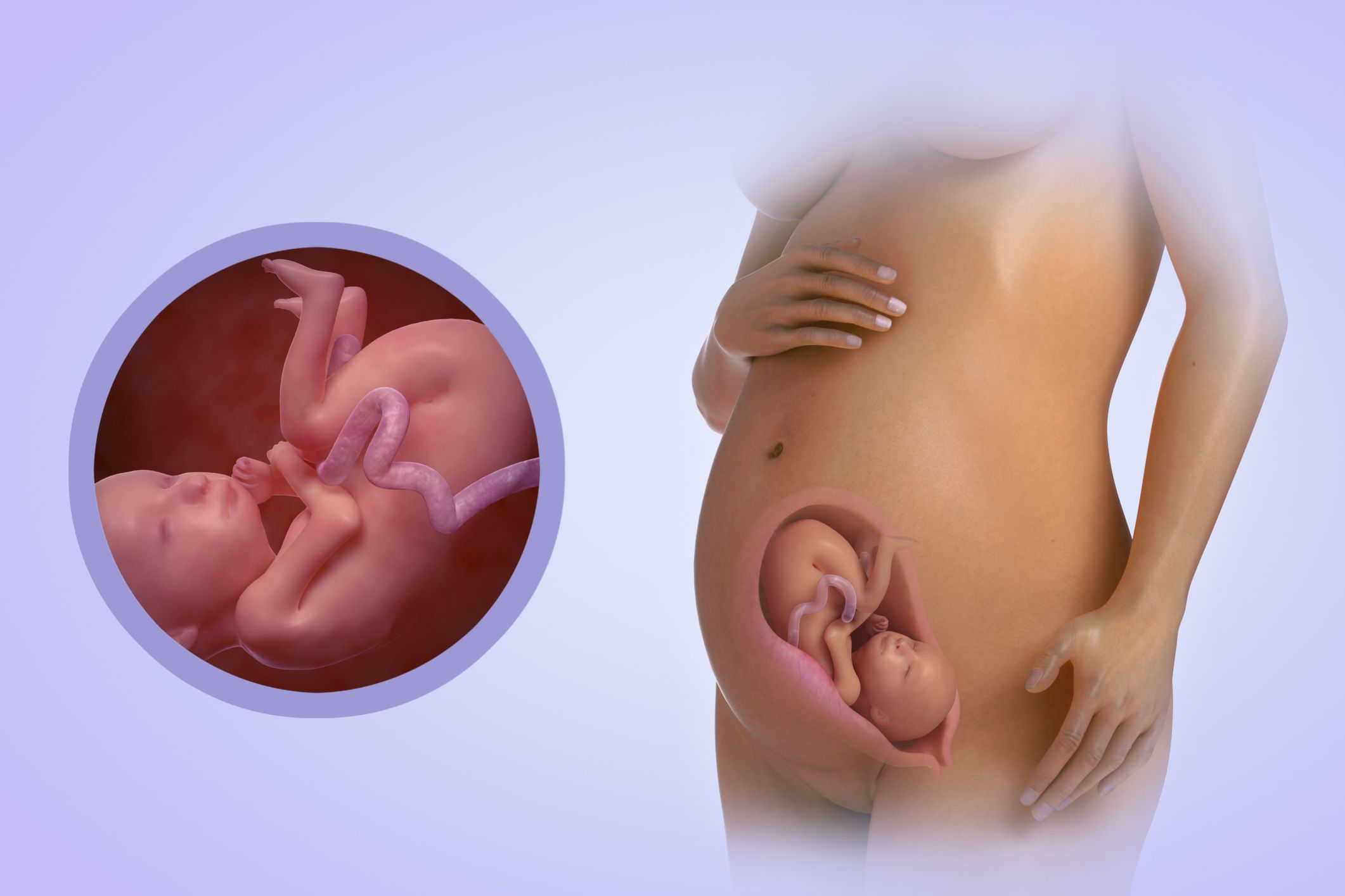 26 неделя беременности - особенности, что происходит с малышом и мамой