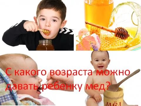 С какого возраста можно давать ребенку мед, мнение доктора комаровского, почему и когда детям нельзя мед