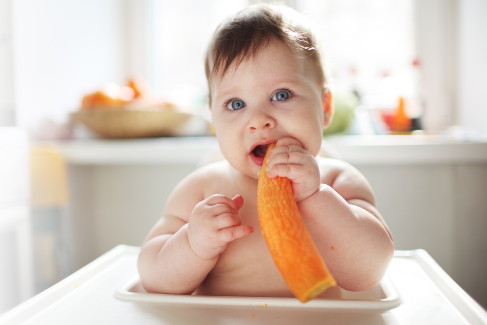 Как научить ребёнка жевать твердую пищу и почему он не жует