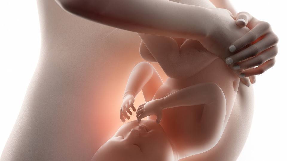 28 неделя беременности: что происходит с малышом и мамой, фото, развитие плода