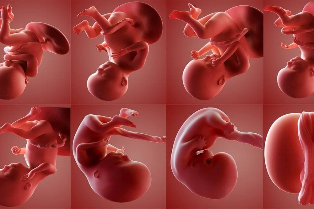 Как можно убить ребенка в утробе. как избавиться от беременности? народные средства для прерывания беременности