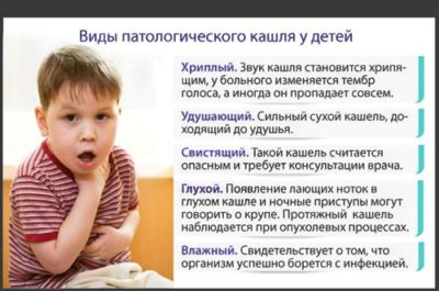 Ночной кашель у ребенка: чем лечить и какие причины, по мнению комаровского