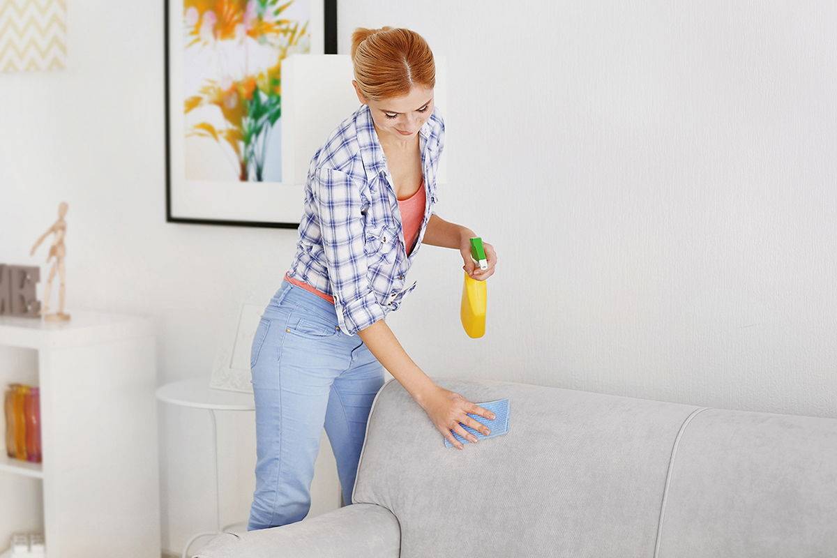 Как очистить диван от мочи: 6 способов