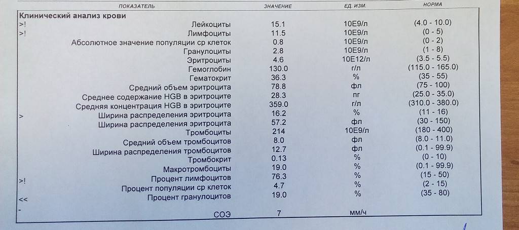 Повышены эозинофилы в крови у ребенка: причины повышенного содержания, таблица нормы