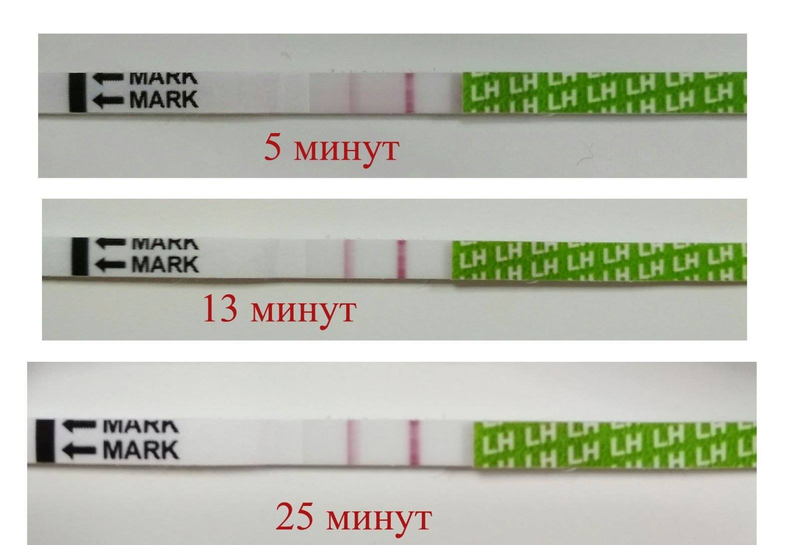 Положительный тест на овуляцию (8 фото): как выглядит и сколько дней показывает результат? может ли быть положительным при беременности?