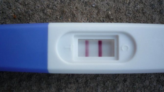 Как выглядят полоски на тесте на беременность? как оценить результаты – какая из них что означает? как выглядит сам тест? 35 фото тестов и полоски на раннем сроке беременности