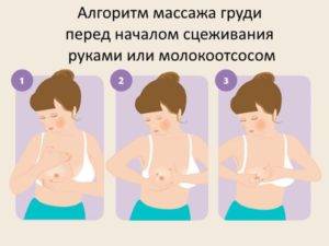 Как правильно делать массаж груди при кормлении
