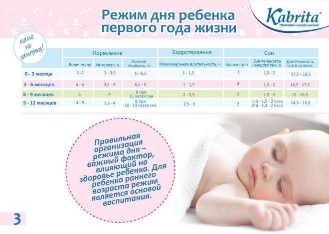 Сколько спит ребенок в 10 месяцев | уроки для мам