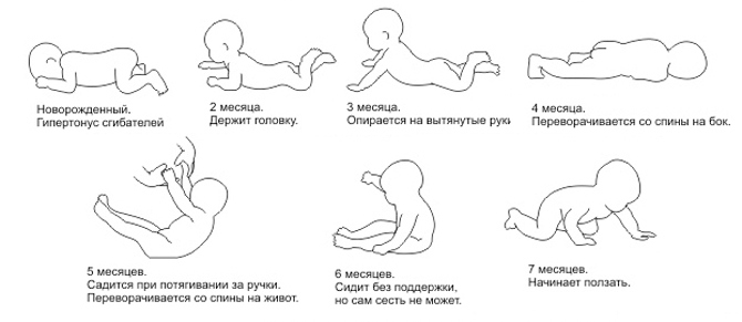 Когда ребенок начинает держать голову: во сколько месяцев и в каком возрасте, сроки для недоношенных, упражнения
