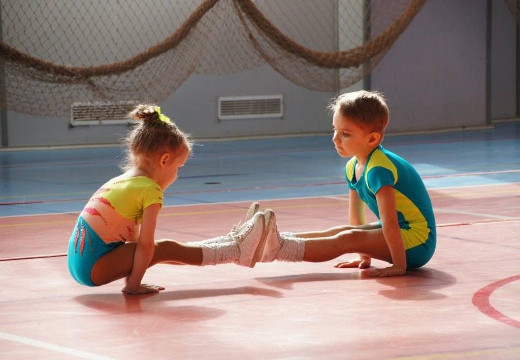 В какой спорт отдать ребенка - как выбрать спортивную секцию подходящую по темпераменту, характеру, телосложению и состоянию здоровья ребенка