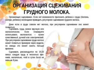 Молочный заводик: как повысить лактацию. как ускорить лактацию после родов как увеличить лактацию после родов
