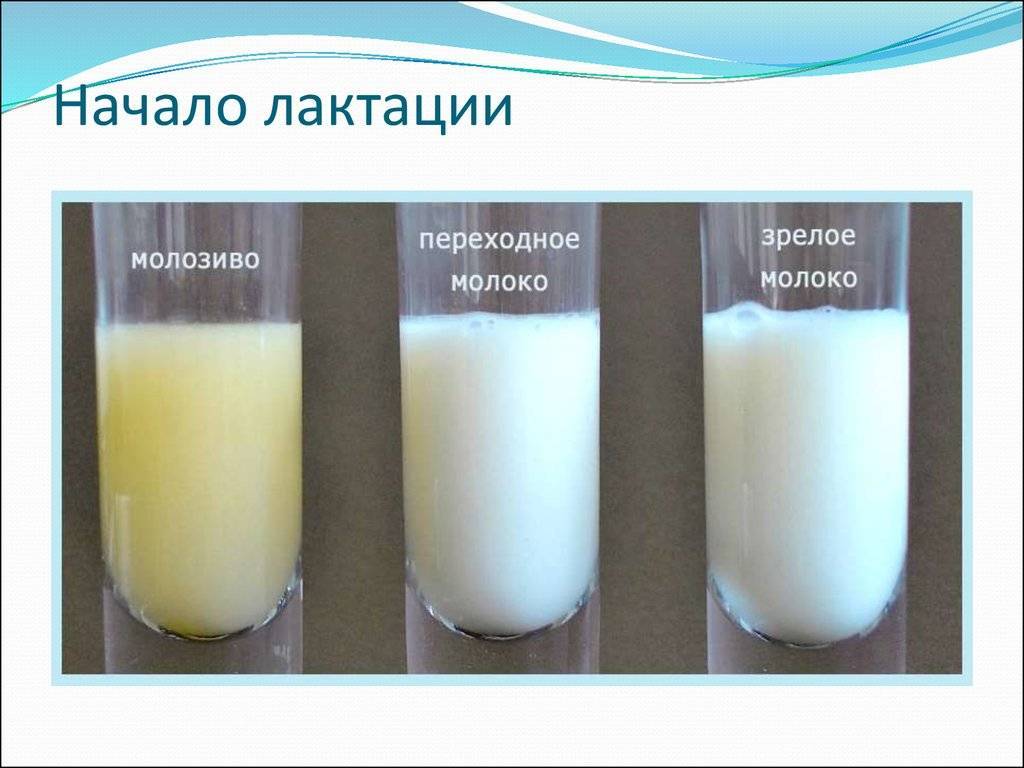 Таблетки для прекращения лактации, чтобы пропало грудное молоко у кормящей матери: список препаратов
