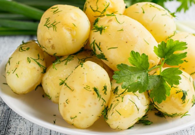 Любимая многими картошка — можно ли её без опаски есть при грудном вскармливании?