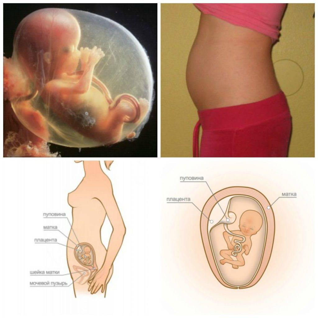 10 неделя беременности: что происходит с малышом и мамой?
