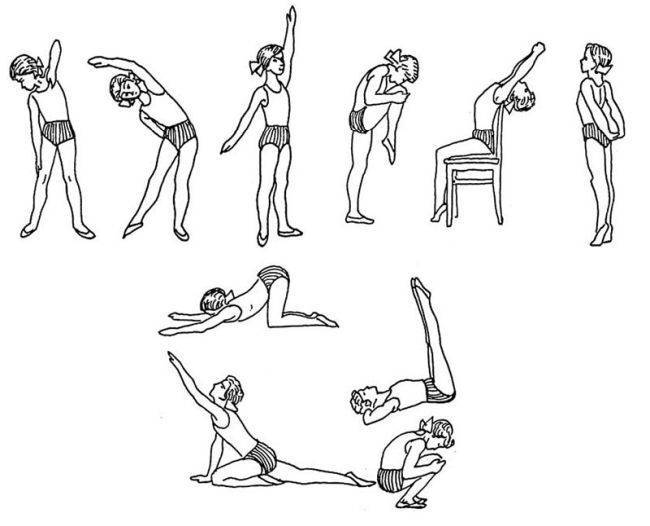 Топ-30 упражнений для улучшения осанки и выпрямления спины