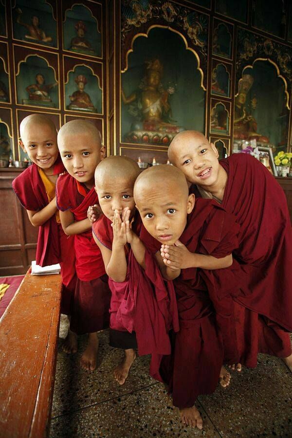 Тибетское воспитание детей | станислав милевич