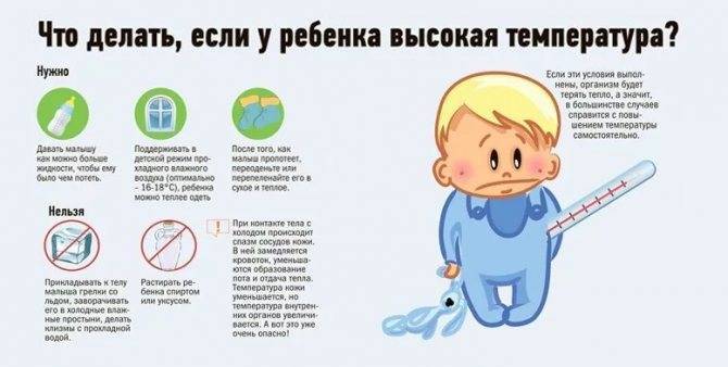 Почему низкая температура у ребенка после болезни: что делать, возможные причины, описание с видео от комаровского