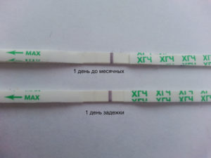 Задержка месячных, а тест отрицательный - причины, что делать, если все симптомы беременности есть, а тест отрицательный / mama66.ru
