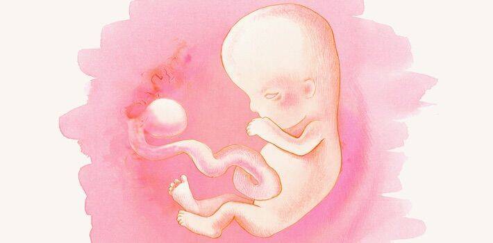 4 неделя беременности, признаки, ощущения, что происходит на четвертой неделе после зачатия