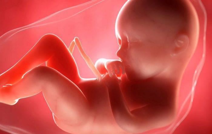 30 недель беременности: что происходит c малышом и мамой?