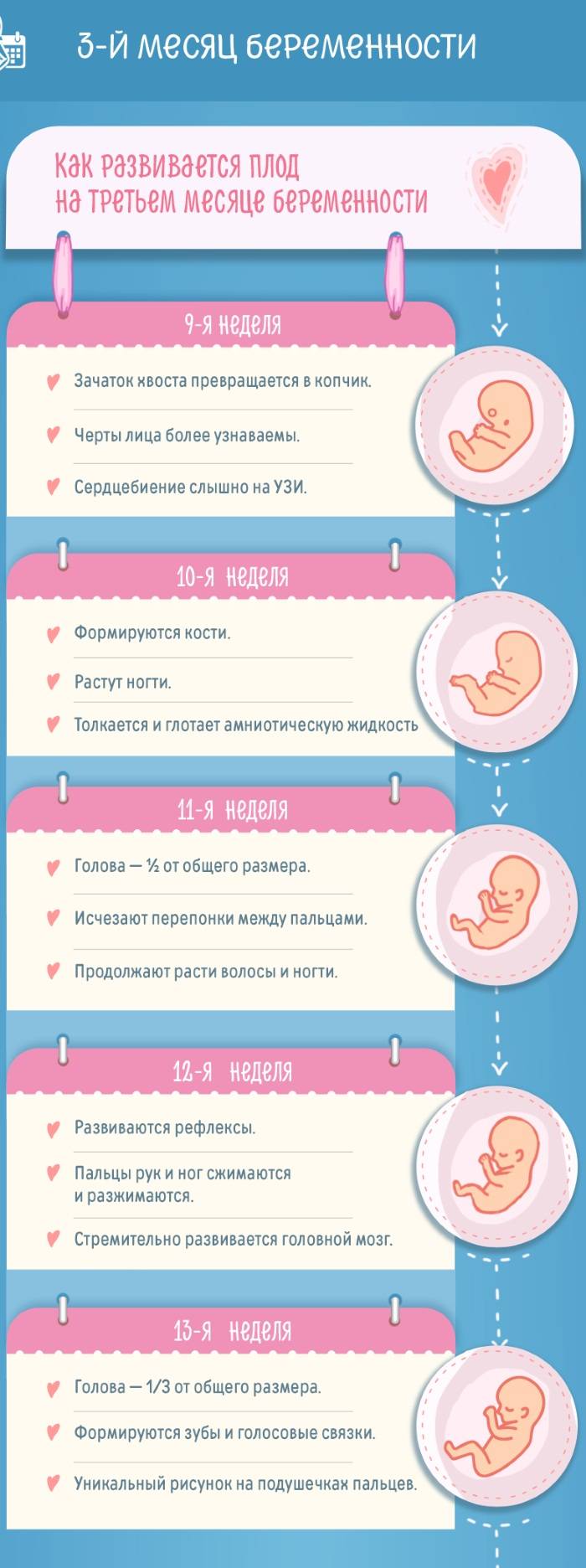 1 месяц беременности: симптомы, признаки, ощущения ~ блог о детях