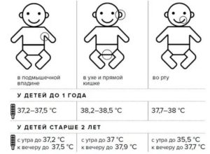 Какая температура тела должна быть у новорожденного: способы измерения и нормальные показатели у грудничка по месяцам