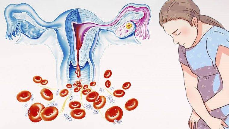 Менструация на фоне приема норколута