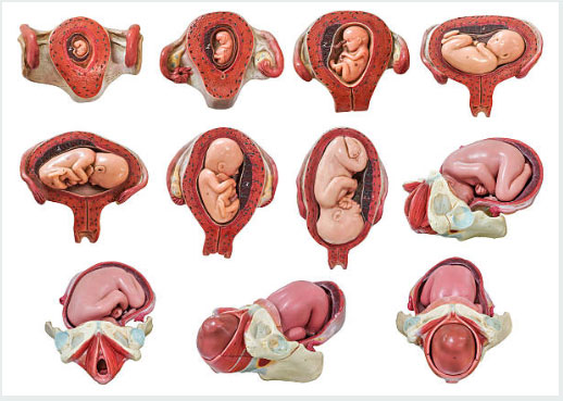 Травмы живота при беременности: последствия для плода и для матери