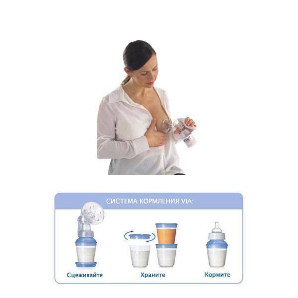 Как сцеживать грудное молоко руками | уроки для мам