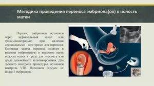 Подготовка к криопереносу эмбрионов: какой метод лучше