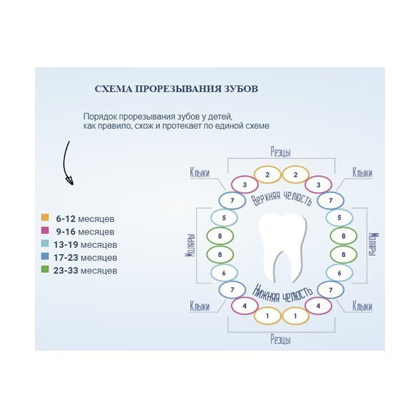 Гель для прорезывания зубов: классификация средств и правила их использования