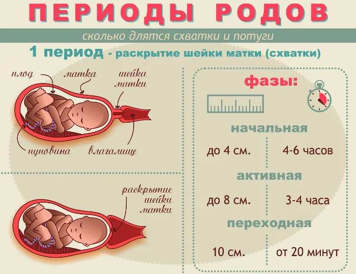 На сколько пальцев открывается матка при родах в норме?
