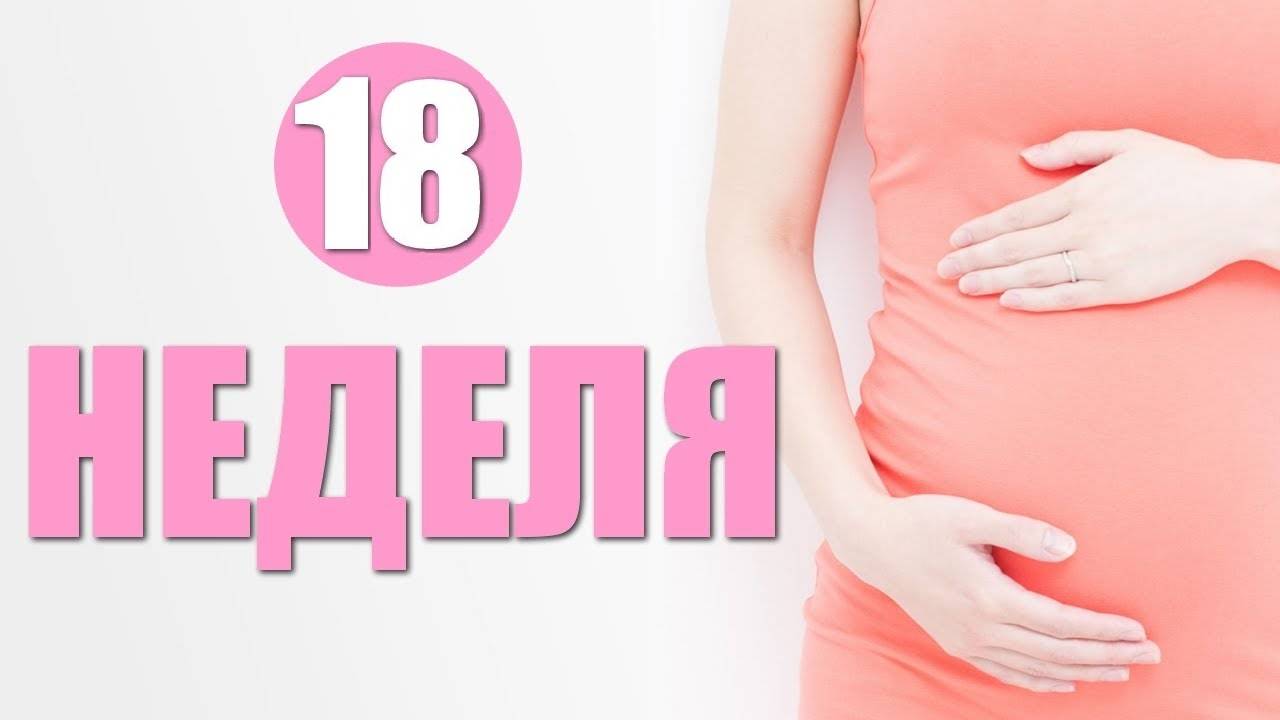 11 неделя беременности
