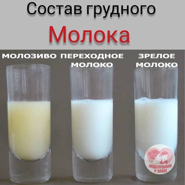 Состав грудного молока
