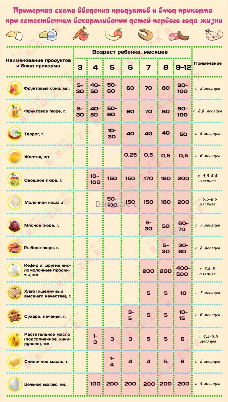 Таблица введения прикорма при грудном вскармливании, схема для грудничка