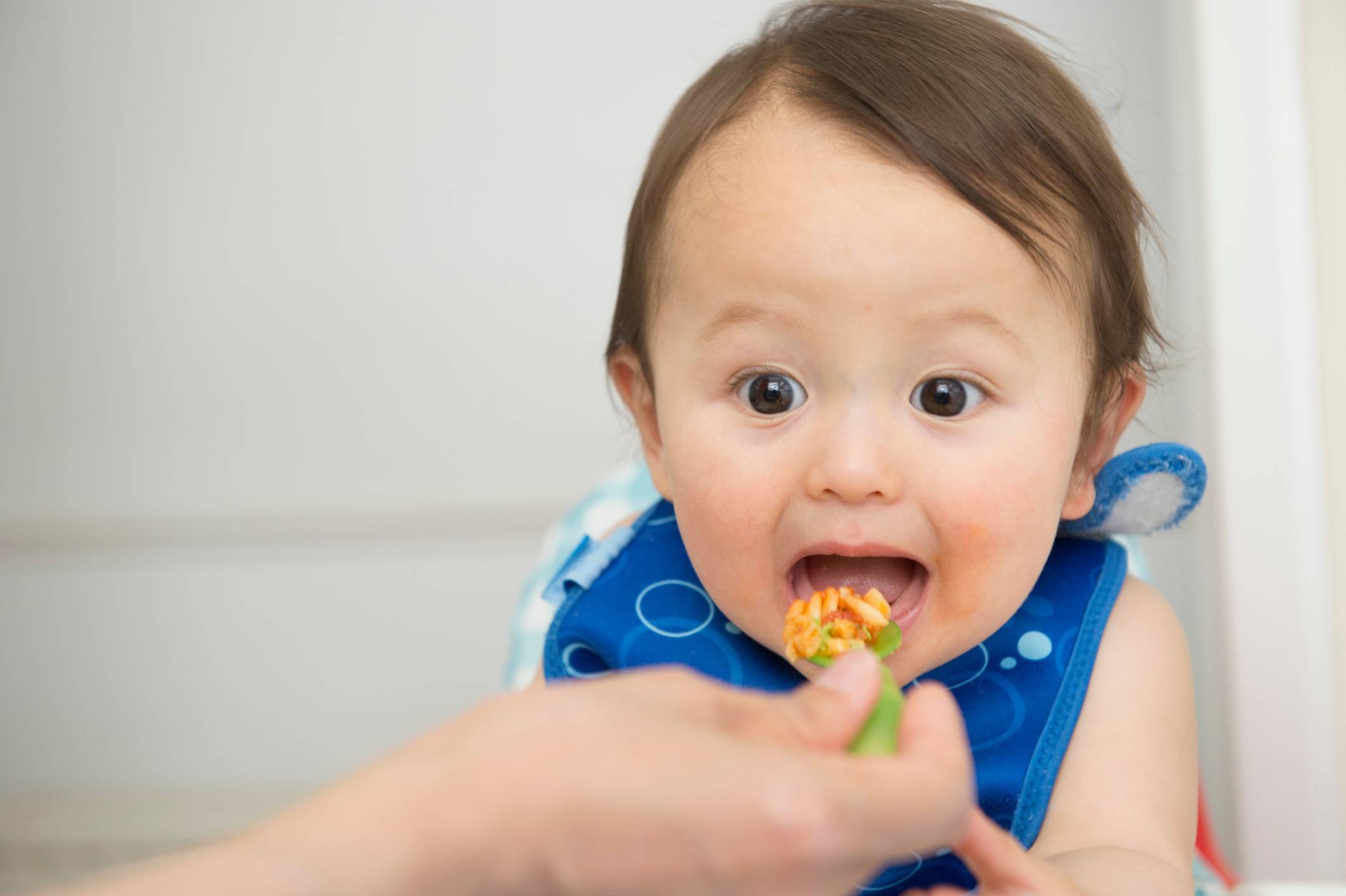 Как научить ребенка жевать и глотать пищу: советы доктора комаровского