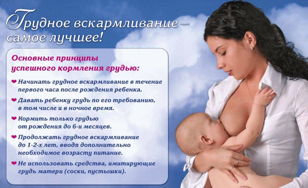 Польза и вред грудного вскармливания для ребенка и мамы, отзывы