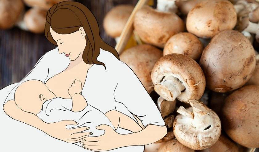 Можно ли кормящей маме есть грибы: польза и вред шампиньонов, маринованных и жареных грибочков при лактации
