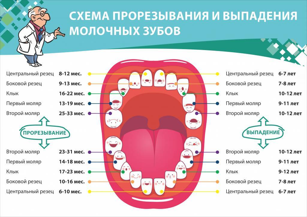 Что делать, если у ребенка растет второй ряд зубов