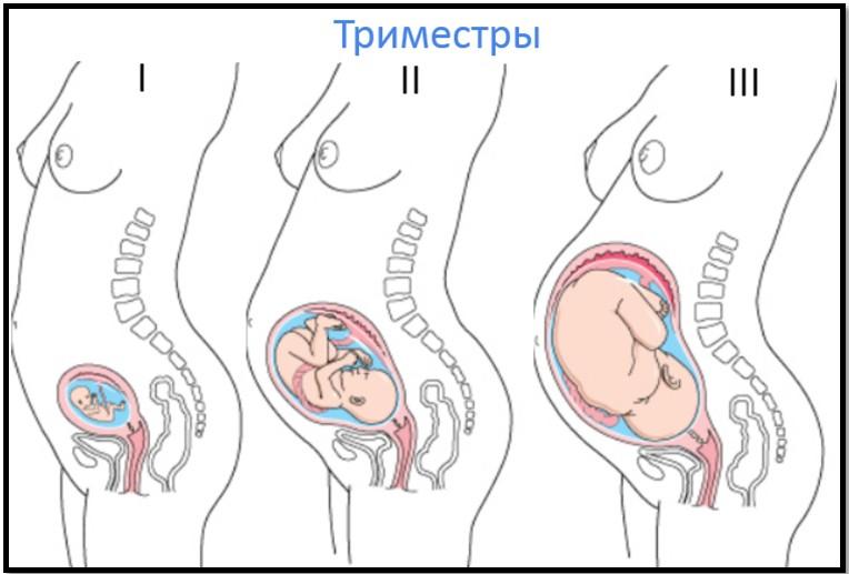 Тянущие боли внизу живота в первом триместре беременности причины, диагностика и лечение