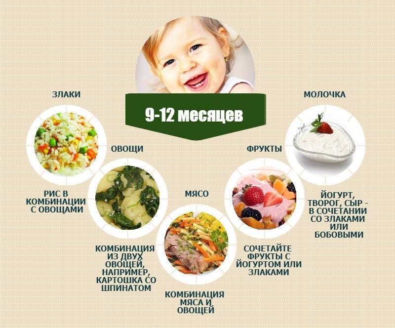 Как и чем кормить ребенка после года и до 1,5 лет, продукты питания, меню | азбука здоровья
