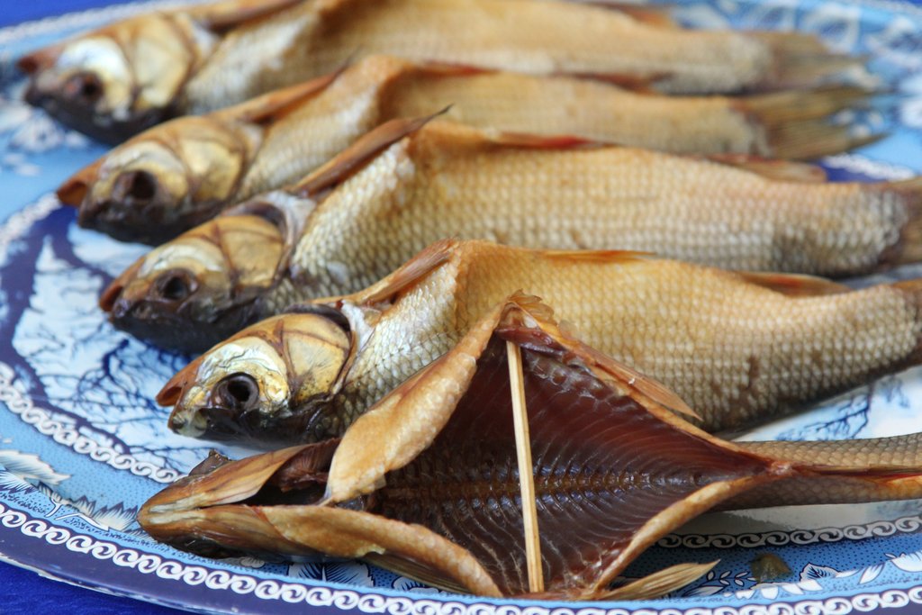 Красная рыба при грудном вскармливании: можно ли есть семгу, форель, горбушу кормящей маме, особенности употребления при лактации